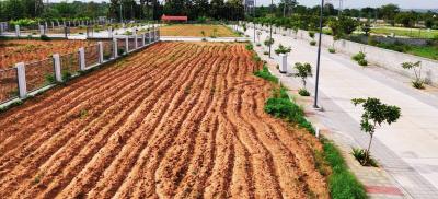 Project Image of 1027.42 - 1448.07 Sq.ft Residential Plot Plot for buy in Aikyam Emerald Grove