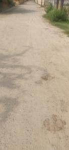 Project Image of 684.0 - 900.0 Sq.ft Residential Plot Plot for buy in Ratan Vihar Plots