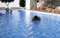 Globe Paradise Phase 1 Swimming Pool 3