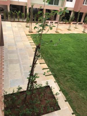 Project Image of 740.0 - 1169.0 Sq.ft 2 BHK Apartment for buy in Senthil Gate Phase 2