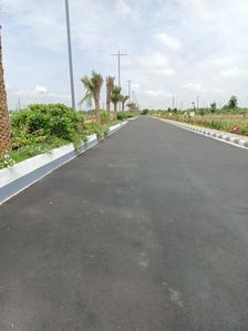 Project Image of 1485.0 - 2970.0 Sq.ft Residential Plot Plot for buy in T Homes Alavaikuntapuram II