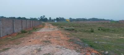 Project Image of 720.0 - 2160.0 Sq.ft Residential Plot Plot for buy in Panchavati Garden