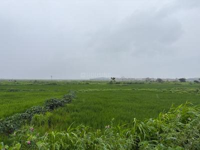 Project Image of 1000.0 - 10000.0 Sq.ft Residential Plot Plot for buy in Mumbai Plot In Prikon