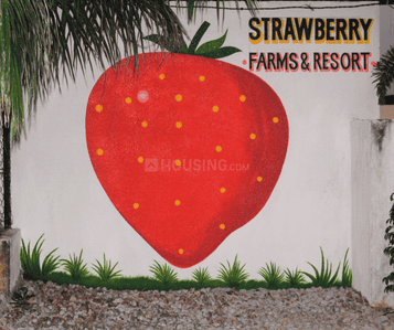 Project Image of 1100.0 - 3500.0 Sq.ft Residential Plot Plot for buy in Muniya Farms