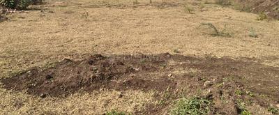 Project Image of 533.14 - 552.19 Sq.ft 2 BHK Apartment for buy in Krutihet Aaditya Vasant