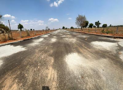 Project Image of 1503.0 - 2385.0 Sq.ft Residential Plot Plot for buy in Amber Homes