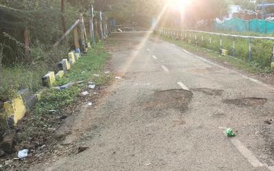 Lake Gardens Internal Roads 1