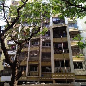 RNA Central Park Elevation 1