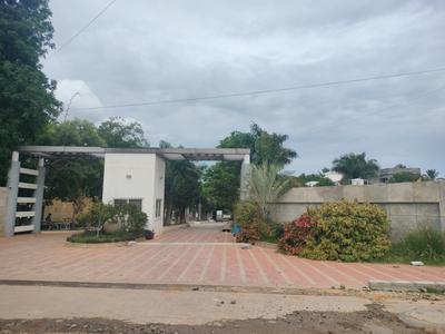 Project Image of 1453.0 - 3800.0 Sq.ft 3 BHK Villa for buy in Global Golden Pearl Phase 2