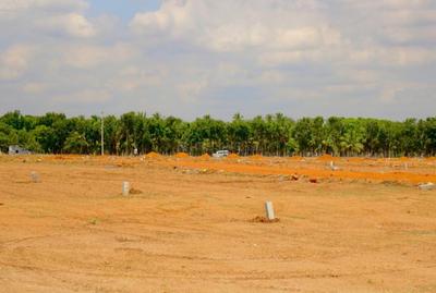 Project Image of 450.0 - 2400.0 Sq.ft Residential Plot Plot for buy in Castle Prestige Park