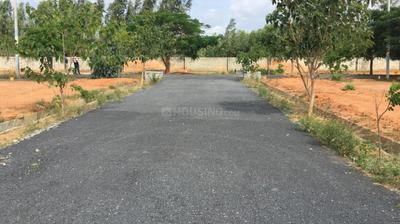 Project Image of 1200.0 - 1500.0 Sq.ft Residential Plot Plot for buy in Sizzle Okawood