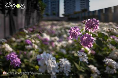 Project Image of 431.0 - 470.0 Sq.ft 1 BHK Apartment for buy in Manisha Citron Phase 2