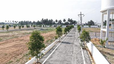 Project Images