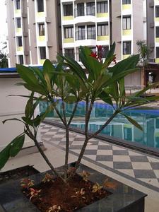 Project Image of 1230.0 - 1504.0 Sq.ft 2 BHK Apartment for buy in Holiday Grandeur