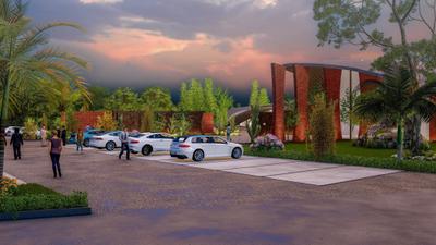 Project Image of 900.0 - 9000.0 Sq.ft Residential Plot Plot for buy in AMG Palm Garden