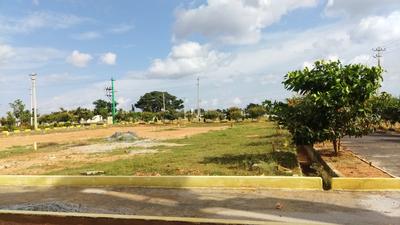 Project Image of 1200.0 - 3000.0 Sq.ft Residential Plot Plot for buy in Srinivasa Spring Hills