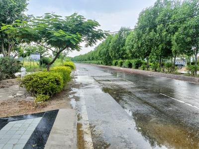 Project Image of 111.0 - 3600.0 Sq.ft Residential Plot Plot for buy in Trimurty The Future City