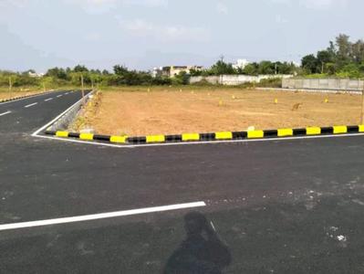 Project Images