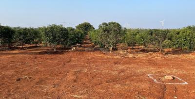 Project Image of 160 Sq.ft Residential Plot / Land for sale in Chilkepally for Rs. 1770000