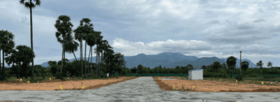 Project Images