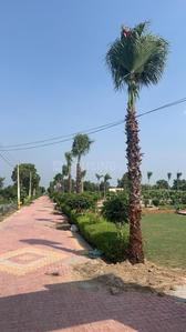 Project Image of 450.0 - 900.0 Sq.ft Residential Plot Plot for buy in Deswal Krishna Spring