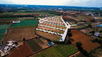 Project Image of 1300.0 - 12916.69 Sq.ft Residential Plot Plot for buy in Annciya Isha Serene