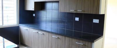 Project Images