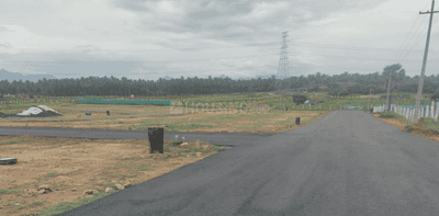 Project Images