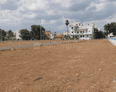 Project Images