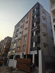 Sankar Elite Elevation 2