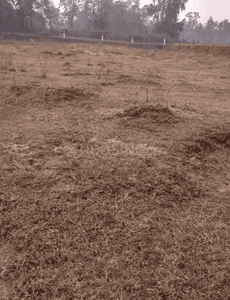 Project Image of 1200.0 - 1925.0 Sq.ft Residential Plot Plot for buy in Redbrick Empire