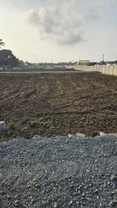 Project Image of 748.0 - 1319.0 Sq.ft Residential Plot Plot for buy in Dhilli Saranya Avenue