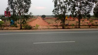 Gallery Cover Pic of Prakruti White Field