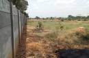 Project Image of 0.0 - 1200.0 Sq.ft Residential Plot Plot for buy in RK Silicon Valley