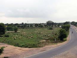 Project Image of 945.0 - 1800.0 Sq.ft Residential Plot Plot for buy in Gaursons Hi Tech Gaur Yamuna City
