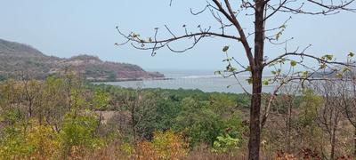 Project Image of 1000.0 - 10000.0 Sq.ft Residential Plot Plot for buy in Towncity Plots In Pali