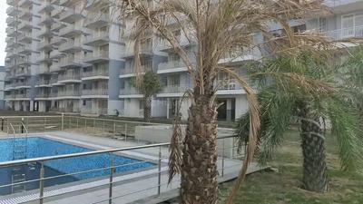 Project Image of 301.28 - 634.82 Sq.ft 1 BHK Apartment for buy in Zara Aavaas 3