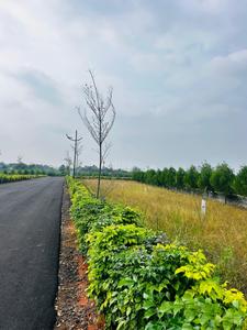 Project Image of 750.0 - 925.0 Sq.ft Residential Plot Plot for buy in Proptera Prime Plots