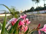 Project Image of 435.0 - 4036.0 Sq.ft Residential Plot Plot for buy in Platina City