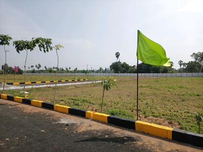 Real Plotza Phase 2 Landscape Garden and Tree Planting 2