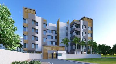 Adonis Life Elevation 2