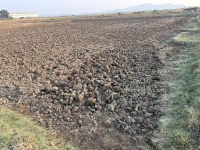 Project Image of 1000.0 - 10000.0 Sq.ft Residential Plot Plot for buy in Invest Mahamumbai Plots in Ulwe