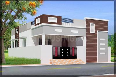 Project Images