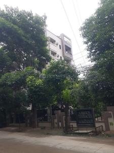 Project Image of 1100.0 - 2120.0 Sq.ft 2 BHK Apartment for buy in S And S Green Green Terraces