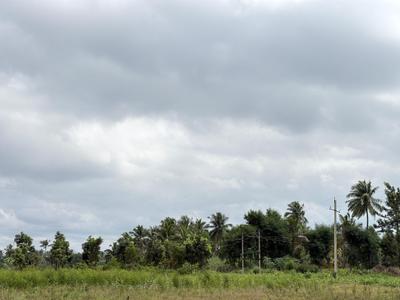 Project Image of 6000.0 - 12000.0 Sq.ft Residential Plot Plot for buy in Navile Farms 