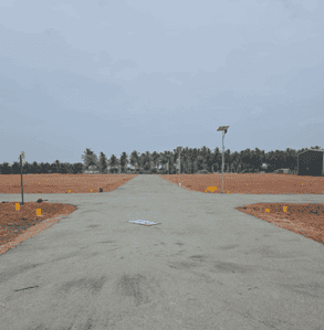 Project Images