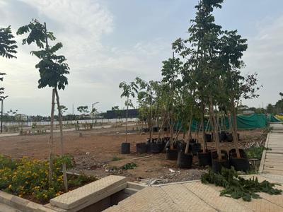 Project Image of 600.0 - 750.0 Sq.ft Residential Plot Plot for buy in Nsquare Sai Brindhavan Nagar