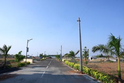 Project Image of 1307.0 - 2613.0 Sq.ft Residential Plot Plot for buy in Sri Baby Blue Jay