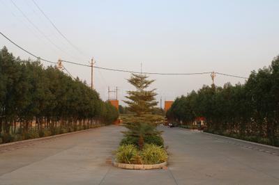 Project Image of 350.0 - 1100.0 Sq.ft Residential Plot Plot for buy in Kalyan Phase II