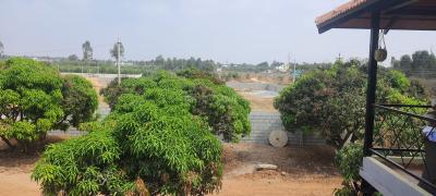 Project Image of 5178.0 - 11433.0 Sq.ft Residential Plot Plot for buy in PK Mango Nest Farmlands
